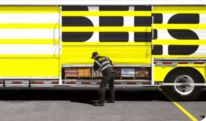 Blog_Post_Bees